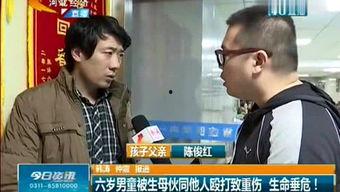 石家庄老板娘最新爆料,最新爆料背后的惊人真相